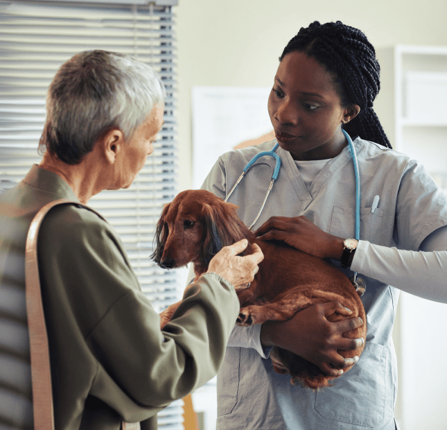Veterinary Technician / Veterinary Assistant