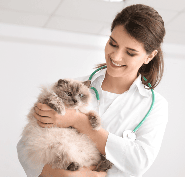 Associate Veterinarian